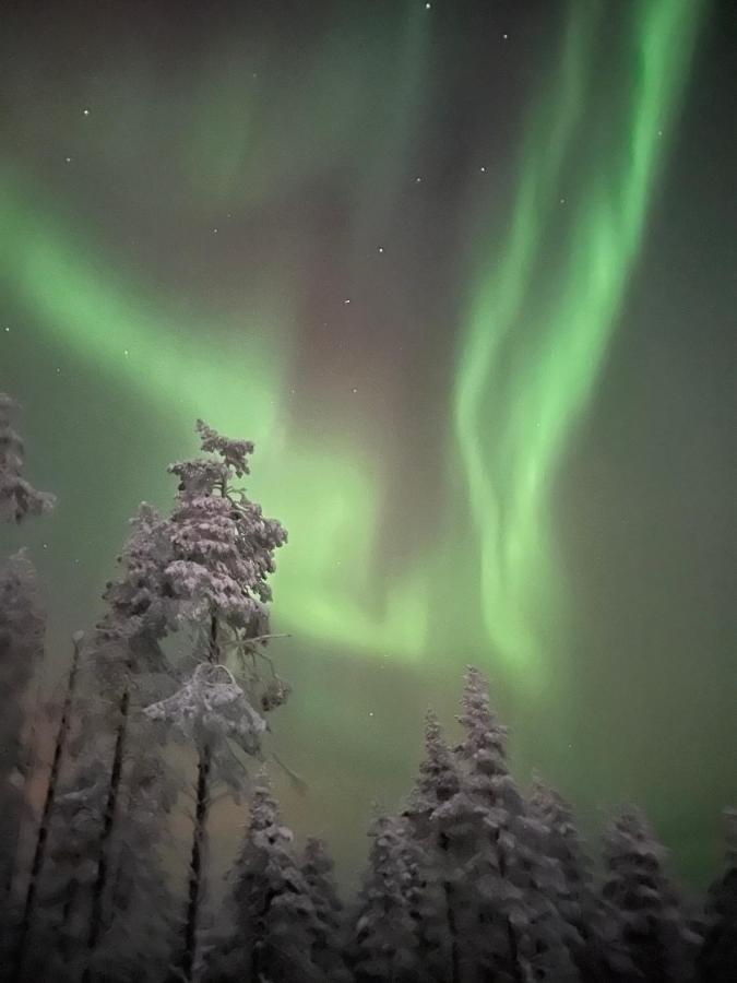Вилла Levi Sensu - Levi Sky Igloos Сиркка Экстерьер фото